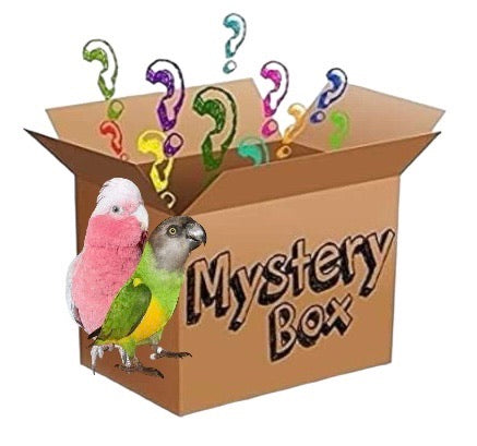 Mystery Box kleine en medium papegaaien